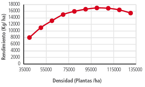densidad-rendimiento