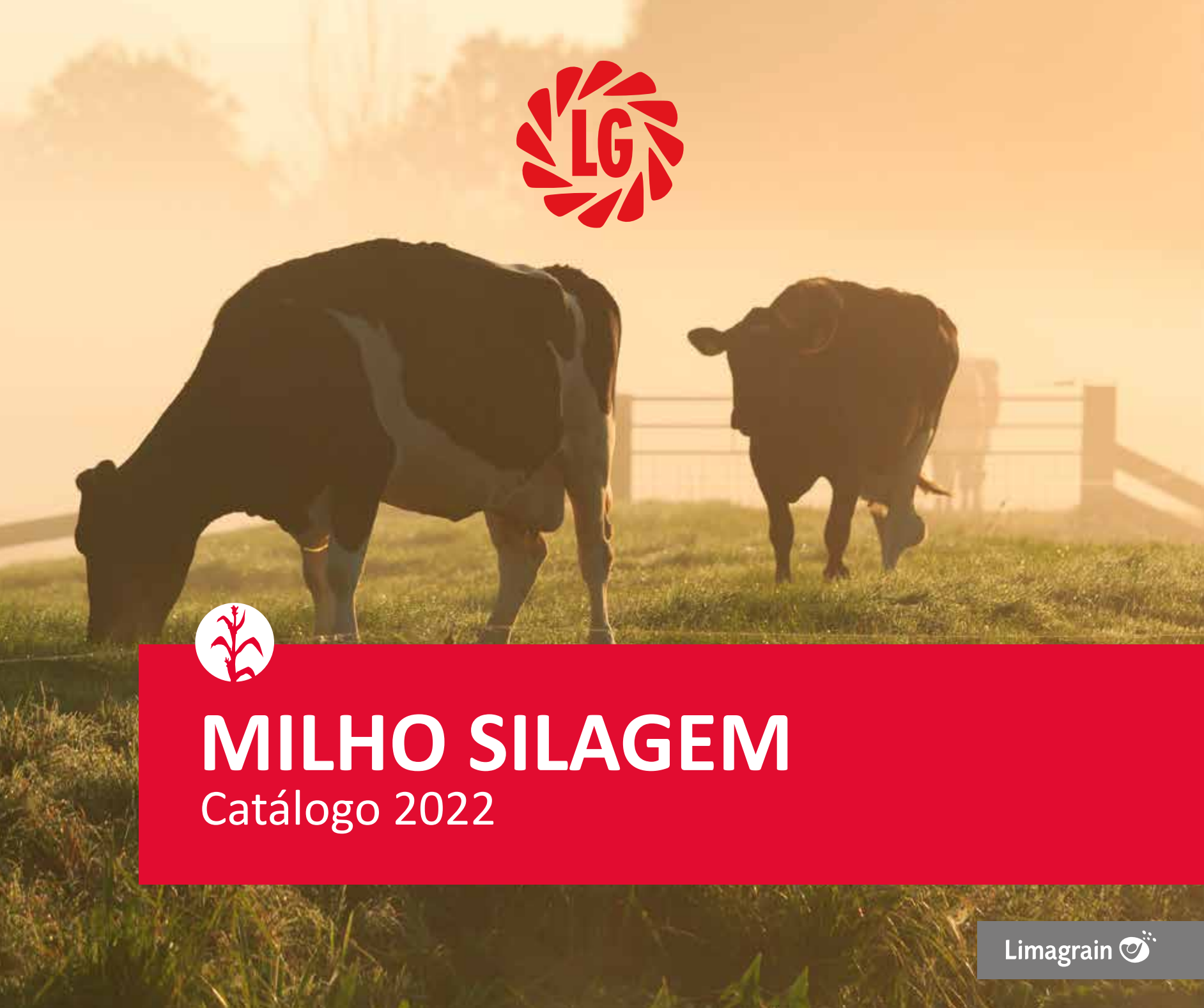 Catálogo Maíz Silo